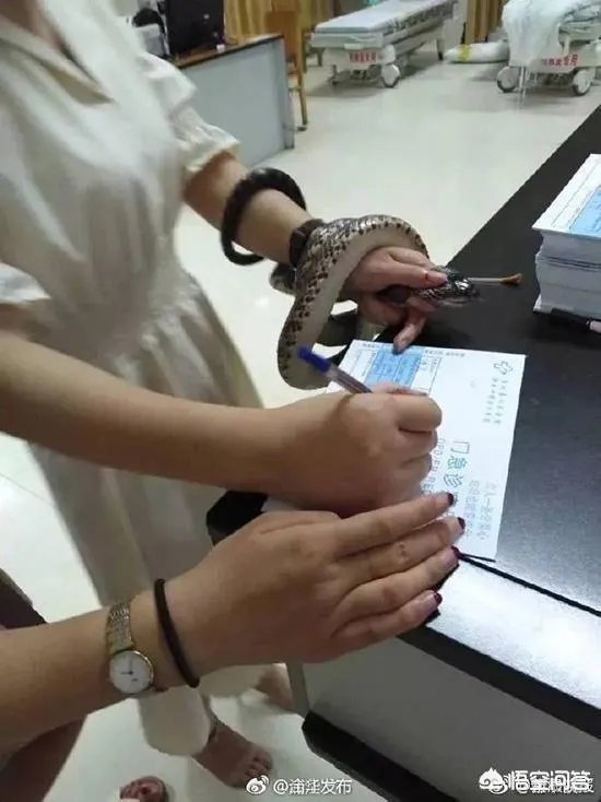 浙江23岁姑娘被蛇咬后徒手握蛇看急诊,离院时带走称将其放生,对此你怎么看?