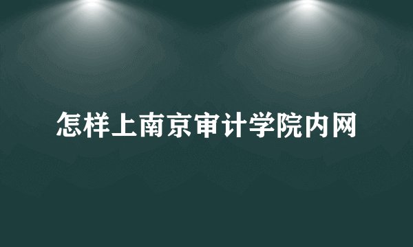 怎样上南京审计学院内网