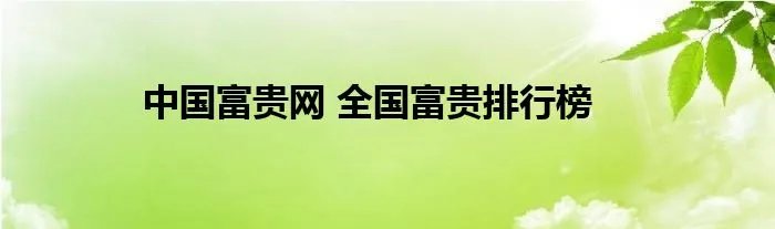 中国富贵网 全国富贵排行榜