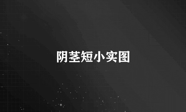 阴茎短小实图