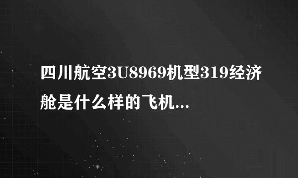 四川航空3U8969机型319经济舱是什么样的飞机有保障吗？