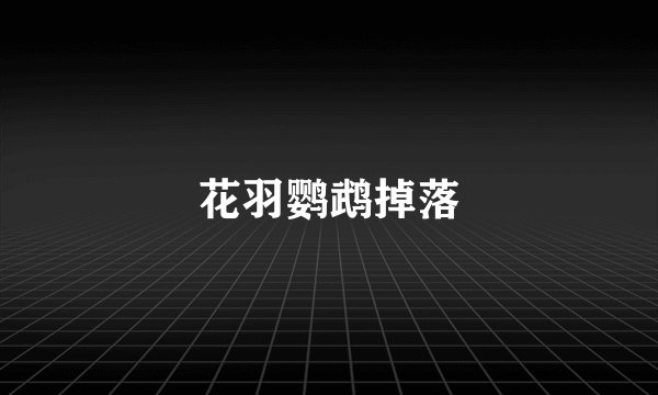 花羽鹦鹉掉落
