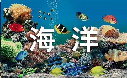 广东湛江海洋大学有什么专业