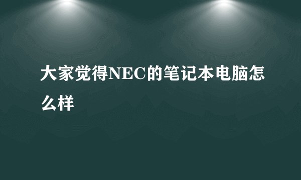 大家觉得NEC的笔记本电脑怎么样