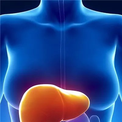乙肝初期症状?