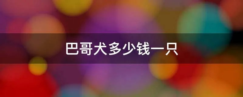 巴哥犬多少钱一只