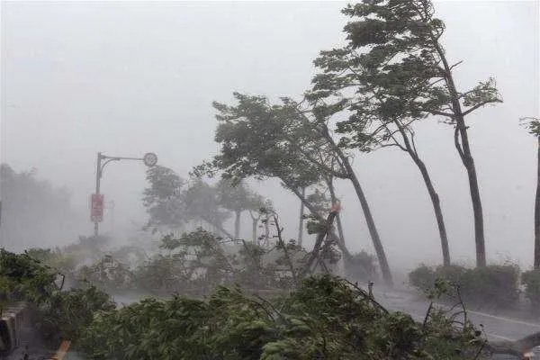 台风“杨柳”逼近海南,今年台风为何这么多?