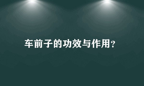 车前子的功效与作用？
