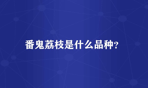 番鬼荔枝是什么品种？