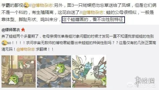 《旅行青蛙》这么可爱一定是男孩子!我家的蛙性别确认