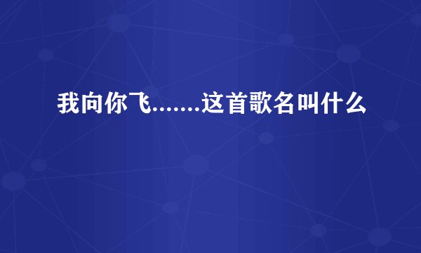 我向你飞.......这首歌名叫什么