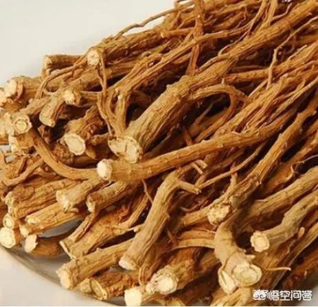 未来种中药材可以赚钱吗?