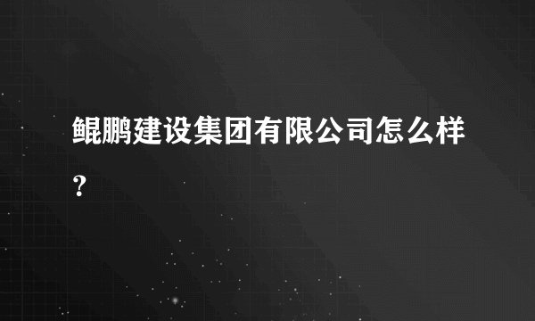 鲲鹏建设集团有限公司怎么样？
