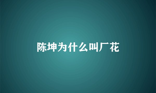 陈坤为什么叫厂花