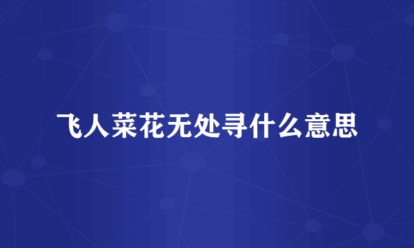 飞人菜花无处寻什么意思