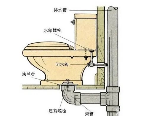 抽水马桶结构图 抽水马桶结构分析