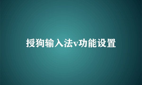 授狗输入法v功能设置