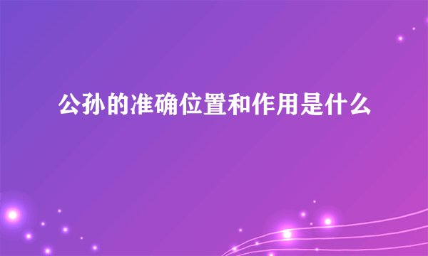 公孙的准确位置和作用是什么