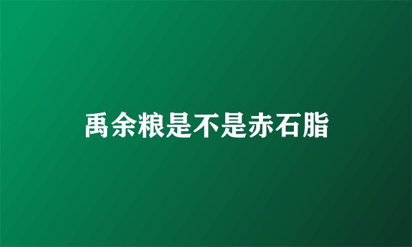 禹余粮是不是赤石脂