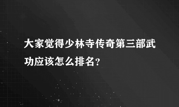 大家觉得少林寺传奇第三部武功应该怎么排名？