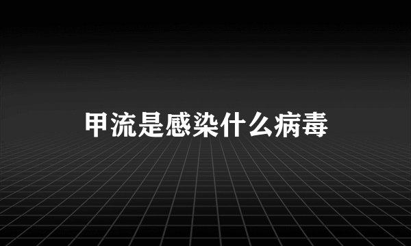 甲流是感染什么病毒