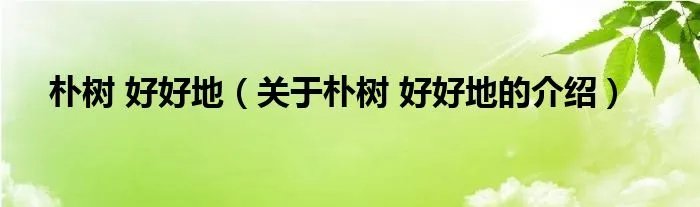 朴树 好好地（关于朴树 好好地的介绍）