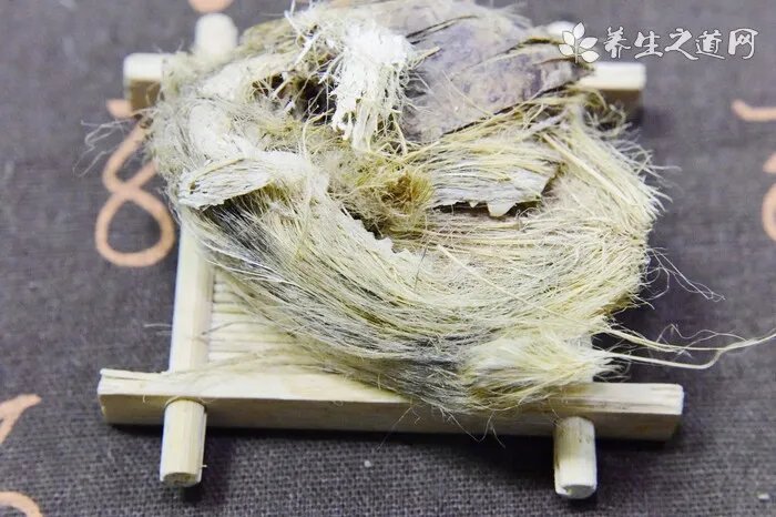 通天草