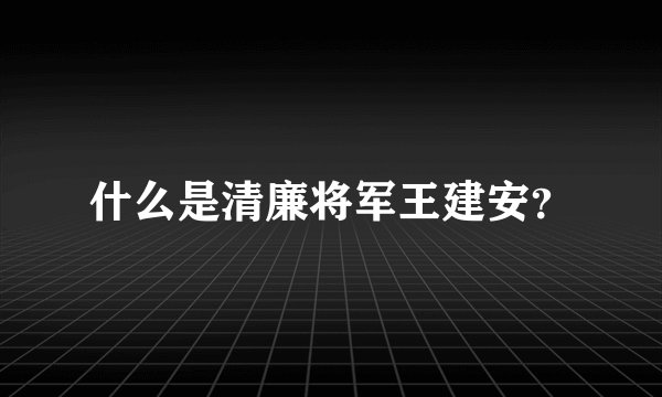 什么是清廉将军王建安?