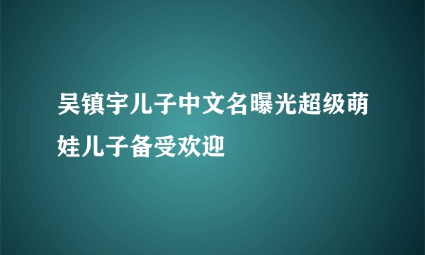 吴镇宇儿子中文名曝光超级萌娃儿子备受欢迎