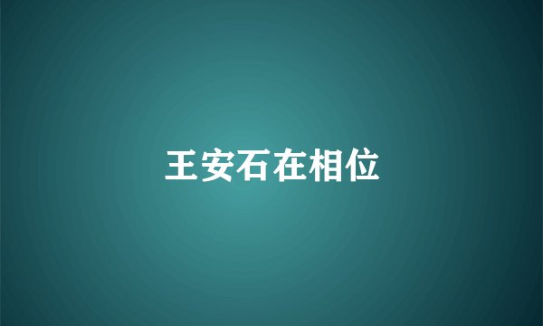 王安石在相位
