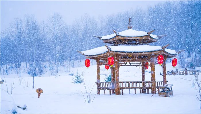 极寒天气是什么现象 极寒天气是哪种现象