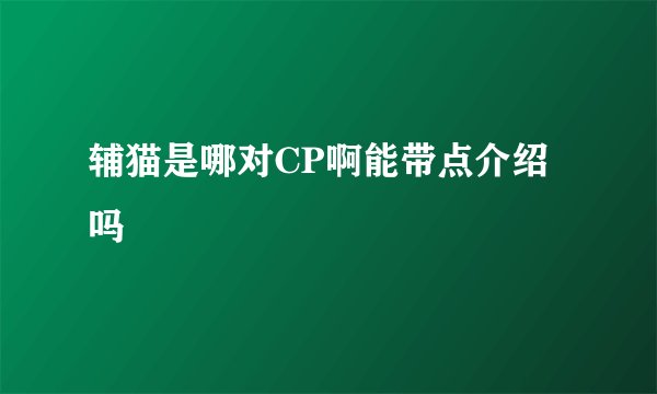 辅猫是哪对CP啊能带点介绍吗