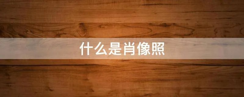 什么是肖像照