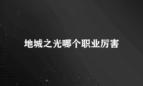 地城之光哪个职业厉害