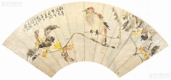 杨熊的介绍