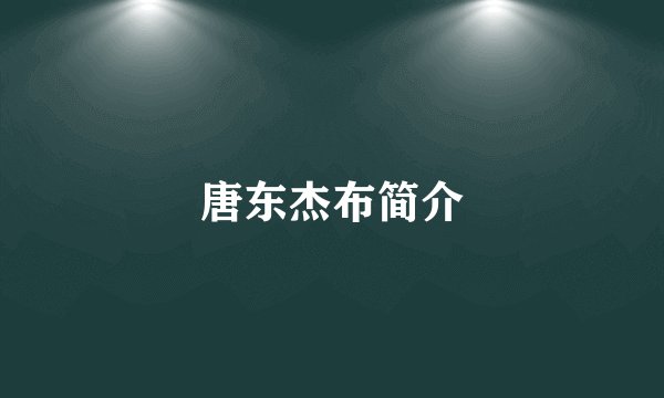 唐东杰布简介