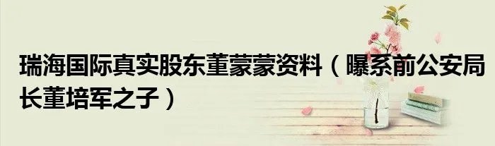 瑞海国际真实股东董蒙蒙资料(曝系前公安局长董培军之子)