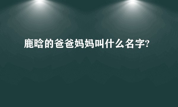 鹿晗的爸爸妈妈叫什么名字?