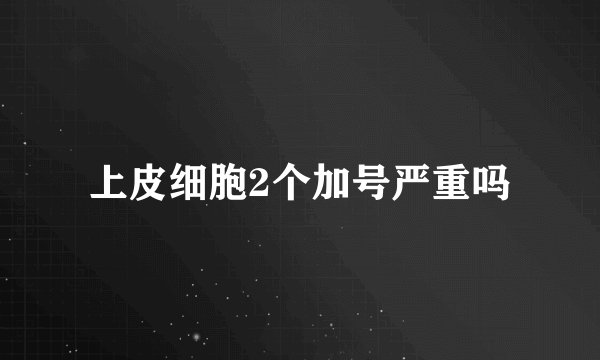上皮细胞2个加号严重吗