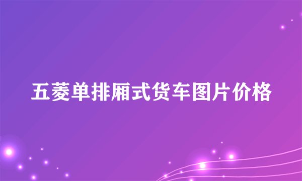 五菱单排厢式货车图片价格