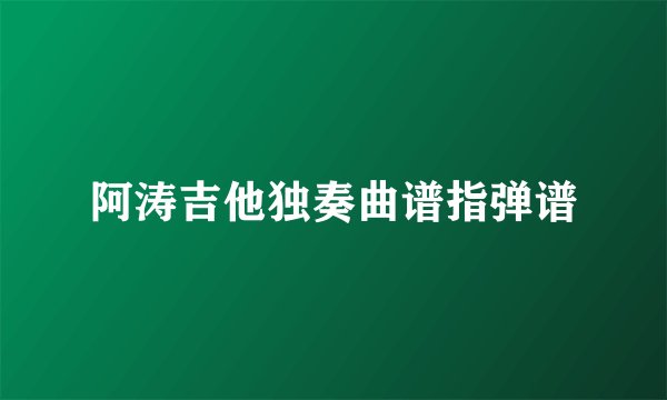阿涛吉他独奏曲谱指弹谱