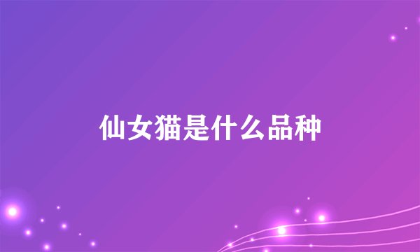 仙女猫是什么品种
