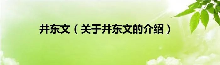 井东文（关于井东文的介绍）