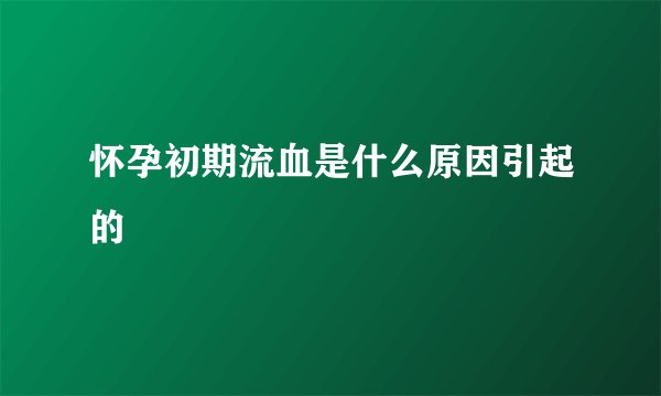 怀孕初期流血是什么原因引起的