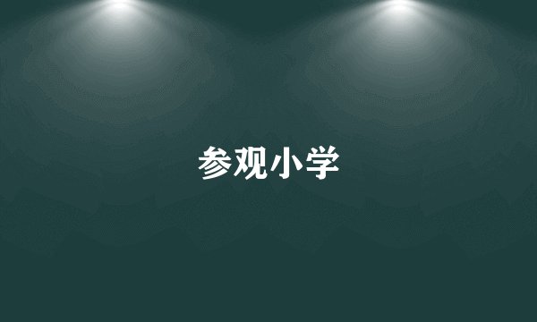 参观小学