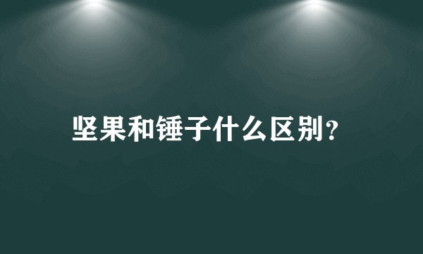 坚果和锤子什么区别？