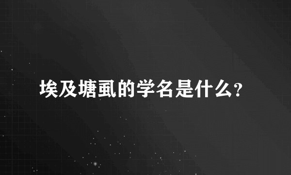 埃及塘虱的学名是什么？