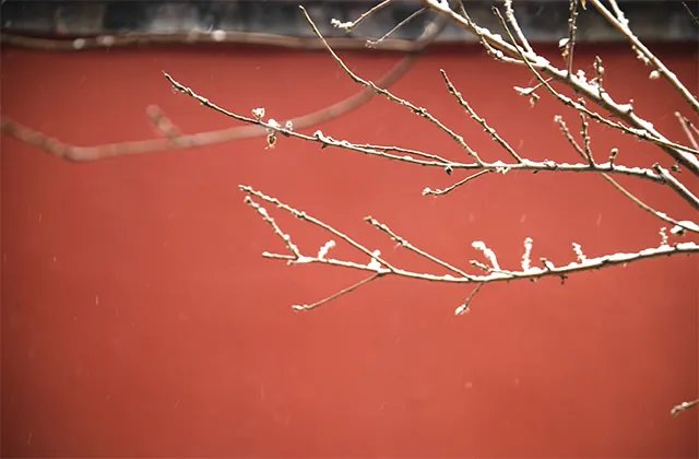 闰年是什么意思 闰年全年有多少天 闰年几年一次