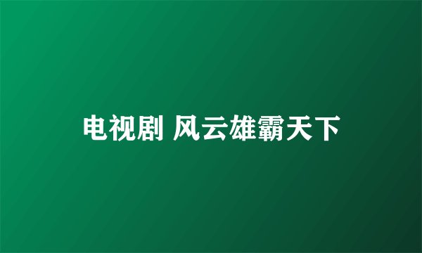 电视剧 风云雄霸天下