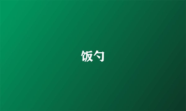 饭勺
